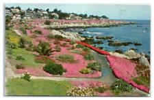 Lover's Point Pacific Grove Monterey Peninsula California Postcard picture
