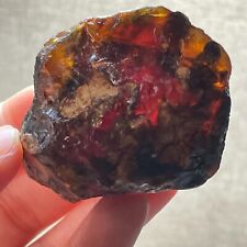 Natural Genuine Old Baltic Amber Rare Found Untreated Gemstone 38g A8254 picture