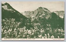 Postcard MT Great Falls Bear Grass Gould Mnt Glacier National Park Hileman J4 picture