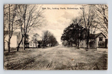 1909. MUKWONAGO, WISCONSIN. MAIN ST. LOOKING NORTH. POSTCARD BQ23 picture