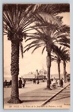 Palace of the Pier Among the Palm Trees NICE France Vintage Postcard 0596 picture