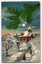 c1910's Christmas Pine Leaf Winter House Covered Snow Berlin Germany Postcard picture