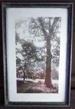 Antique 1926 Colored Photograph Artist Signed Framed Trees Landscape Art Photo picture
