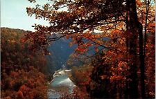 Letchworth State Park Castile New York NY Genesee River Gorge Autumn Postcard picture