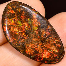 23.50Cts. Natural Play Of Multi Fire Ammolite Fancy Cabochon Loose Gemstone picture