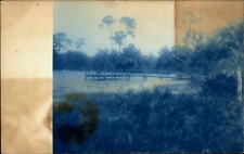 RPPC Auburndale Florida Cyanotype Lake Ariana c1915 real photo postcard picture