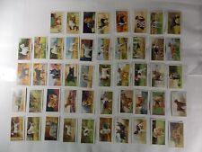 Gallaher Cigarette Cards Dogs 1st Series 1936 Complete Set 48 picture