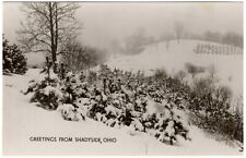 SHADYSIDE, OH RPPC Greetings, Winter Snow Scene Belmont Ohio Real Photo Postcard picture