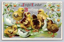 1911 Joyful Easter Greetings Silver Foil Embossed Fresh Hatched Chickens Daisies picture