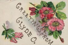 Greetings From Glyde O. Glitter Mica Flowers Posted Divided Back VTG Post Card picture
