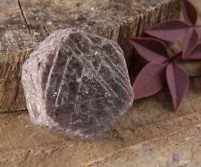 RUBY Raw Crystal - Record Keeper, Corundum, Hexagon - Birthstone, Stone, E0063 picture