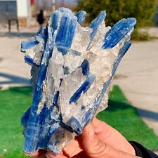 1.51LB Rare Natural beautiful Blue KYANITE with Quartz Crystal Specimen Rough picture