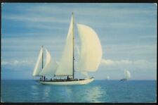 Smooth Sailing Unposted Vintage Postcard 1950s yacht sailboat picture