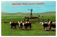Vintage Greetings from Cattle Country, Beef cattle, Old Windmill, NE Postcard picture