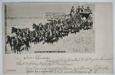 Grain Fields Tulare County Orosi California Undivided Back Postcard 1906 Horses picture