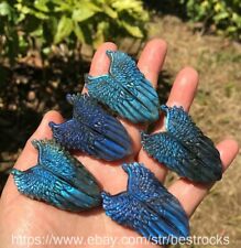 10pcs Natural Polished Labradorite Quartz Crystal Hand Carved Angel Wings picture