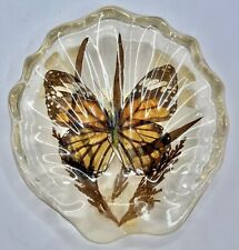 Vintage Lucite Acrylic Encased Butterfly Trivet 6 1/2” w/Bird Feet Shell Shaped picture