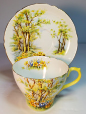 Shelley Daffodil Time Teacup & Saucer Set Flowers Trees England Fine Bone China picture