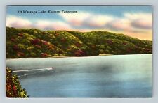 Watauga Lake, TN-Tennessee, Scenic Greeting Lake  Vintage Souvenir Postcard picture