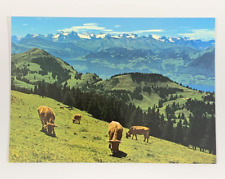 View from Rigi-Kulm to the Uri and Unterwaldner Alps Postcard Aerial View picture