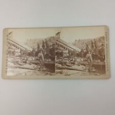 Antique D.S. Camp City Of Hartford 1878 Train Wreck Stereoview #10 picture