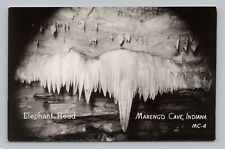 Postcard RPPC Elephant Head Marengo Cave Indiana picture