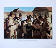 Rare 100% Original III Reich Color Photographic Prints of the Werhmacht - No. 7 picture
