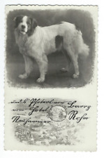 c1936 RPPC Bulgarian Shepherd Dog Postcard picture