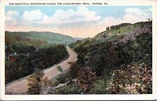Postcard PA Lackawanna Trail Mountain Scenic Road View Foster Pennsylvania     picture