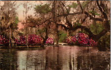 Postcard Magnolia Gardens Charleston South Carolina 1928 Hand Colored Card picture