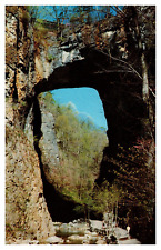Lexington VA Virginia Natural Bridge Cedar Creek Chrome Postcard picture