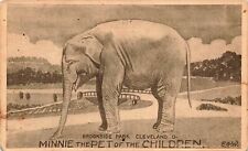 OHIO POSTCARD: MINNIE THE PET ELEPHANT OF THE CHILDREN BROOKSIDE PARK CLEVELAND picture