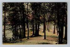 NJ-New Jersey, The Point At End Grove, Scenic View, c1910 Vintage Postcard picture