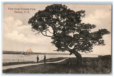 Sydney Cape Breton Canada Postcard Big Tree Steamer View from Victoria Park 1907 picture