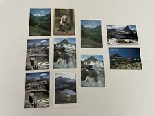Vintage Older Lot of 10 Glacier National Park Postcards 0823 picture