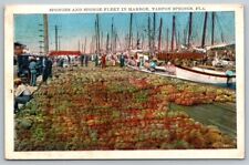 Vintage Florida Postcard -  Tarpon Springs Sponge Fleet  1938 picture