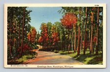Greetings from Manistique, Michigan - Postcard picture