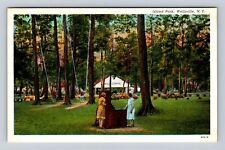 Wellsville NY-New York, Island Park, Girls Swinging, Shelter, Vintage Postcard picture