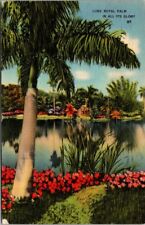 Florida FL Lone Royal Palm Tree in all its Glory Vintage Postcard Miami 1945 PM  picture