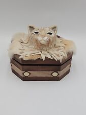 Inside Outside Box Mask Gentle Kitten Outside Roaring Lion Within, Faux Fur,  picture