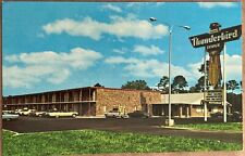 Hardeeville SC Thunderbird Lodge Motel Vintage South Carolina Postcard c1970 picture