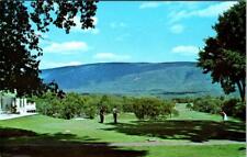 Manchester, VT Vermont  EQUINOX GOLF COURSE Golfers~Golfing  VINTAGE Postcard picture