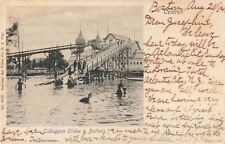 Toboggan Slides & Bathers Celoron Park Chautauqua Lake New York NY 1904 Postcard picture