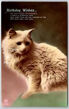 RPPC hand tinted fluffy cat birthday wishes postcard picture