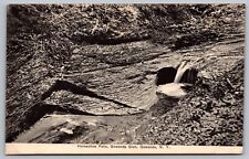 Gowanda Glen New York Horseshoe Falls Scenic Natural Landmark BW Postcard picture