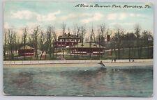 VIEW IN  RESERVOIR PARK, HARRISBURG PENNSYLVANIA, LAKE VIEW POSTCARD c. 1911 picture