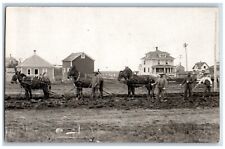 c1910's Postcard RPPC Photo Road Construction Crew Horses Occupational # 1 picture