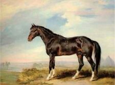 Art Oil painting James-Ward-A-Dongola-stallion-from-Nubia horse handmade picture