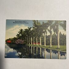Royal Palms along Waterfront Estate in Florida, FL Vintage Postcard picture