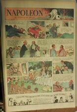 Napoleon the Dog Sunday by Clifford McBride from 4/16/1933 Full Page Size  picture